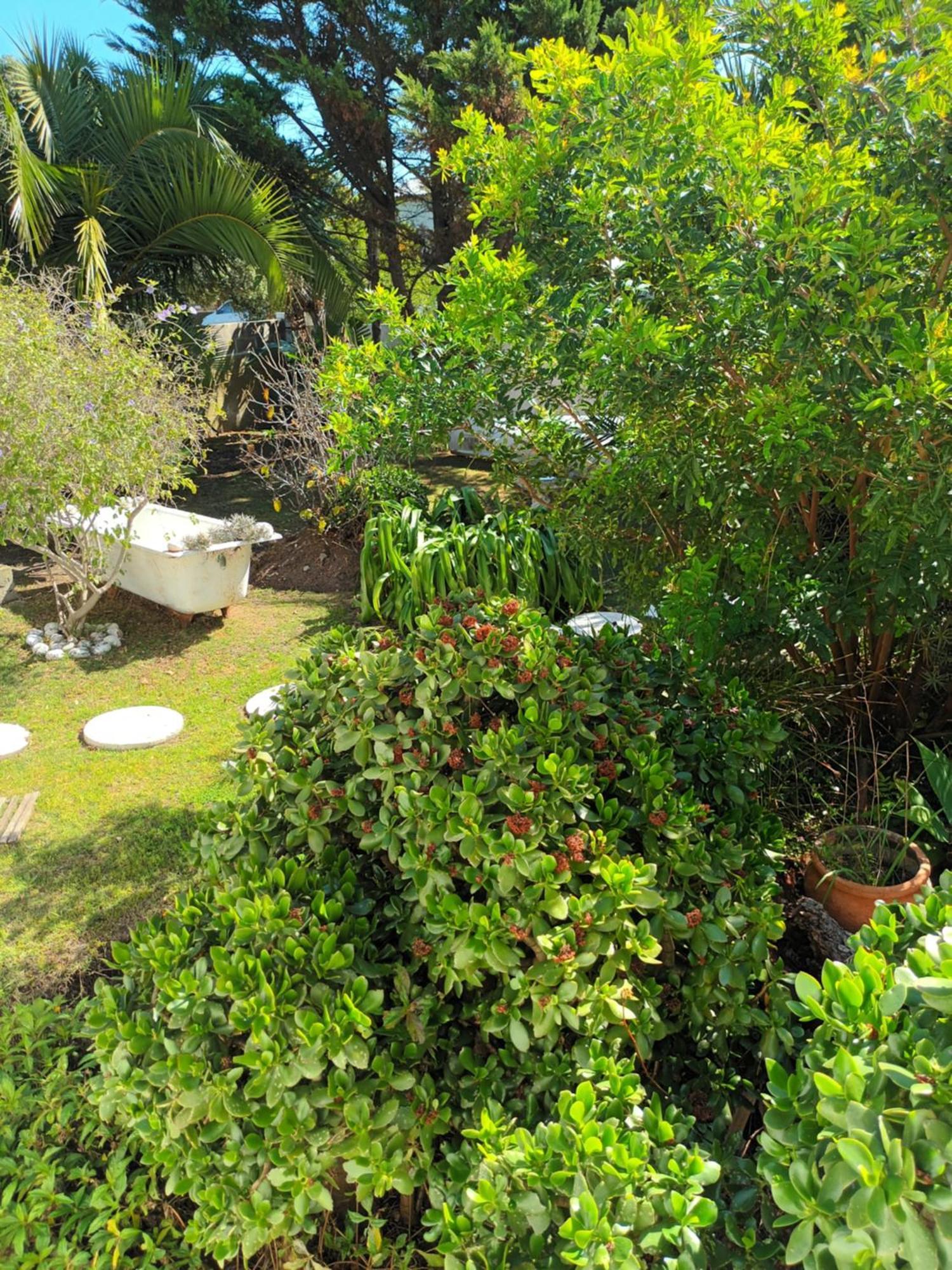 Self Catering Unit 6, Sandbaai هيرمانوس الغرفة الصورة